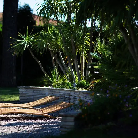 Ibi - Camerano, Meravigliosa Con Piscina Nel Parco Del Conero Casa Petromilli